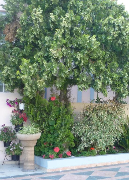 Rhodes City Rainbow Hotel מראה חיצוני תמונה
